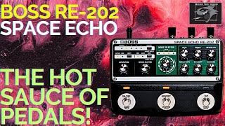 Boss Space Echo RE-202 Pedal: A Galaxy of Tone Options