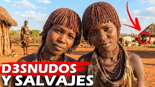 😨 The Hamar tribe: the most beautiful women in Africa and the men run over cows