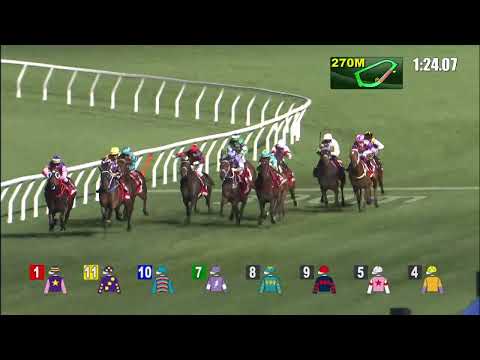 追風驥足21/12/15……(259)第七塲三班1650米