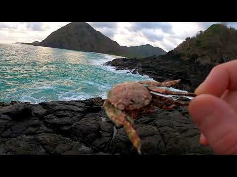 LOMBOK INDONESIA MOST BEAUTIFULL BEACH 🏝️ 🏖️🌊SELONG BELANAK [4k]
