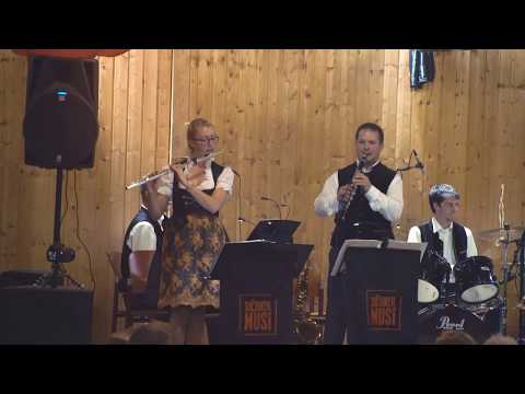 Südböhmische (Trio) - Dudacka - Die Lerche | Potpourri a la siEbner Musi