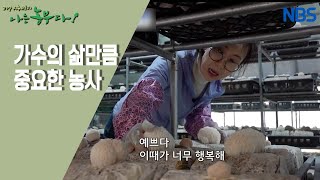 [나의 사랑, 노루궁뎅이버섯] 주인 농부를 빼닮은 운명적 작목