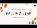 Falling Leaf | A Fall/Autumn Movement Song For Kids! | Music For Kiddos