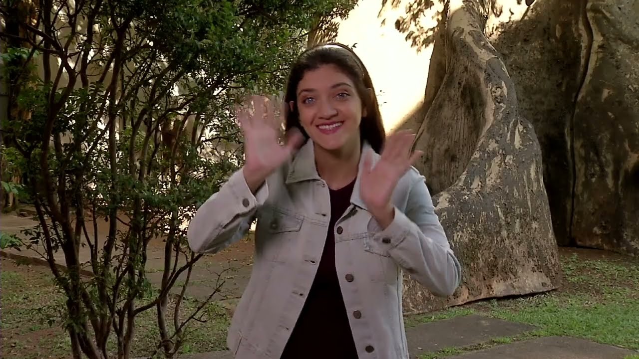 LIBRAS PARA TODOS - TECNOLOGIAS ASSISTIVAS