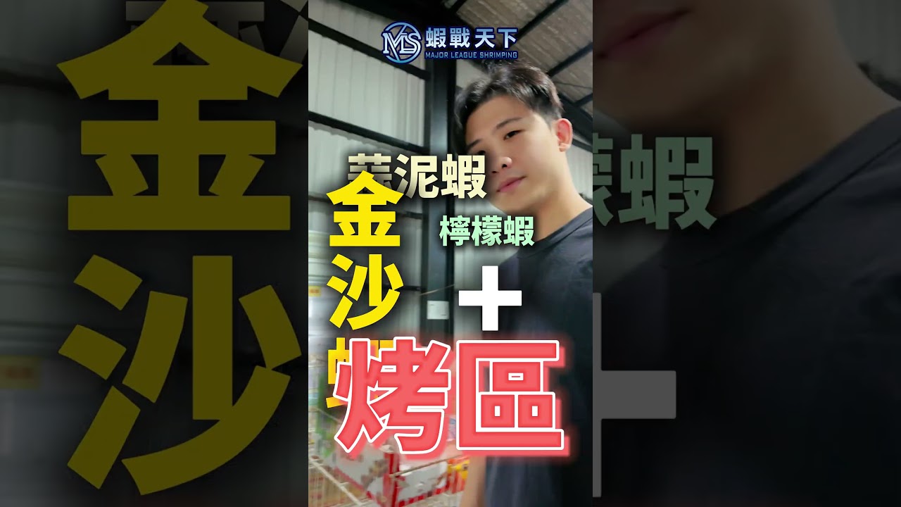 今天這間蝦場Ep.11【MLS蝦戰天下】#17shrimp #台湾のエビ釣り #shrimpfishing #새우낚시