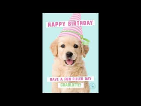 Super Funny Dog Videos #4 | #short #doglover