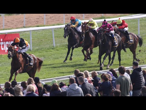 Köln: Preis des Winterfavoriten (Gruppe 3) - Sieger: Sea Bay