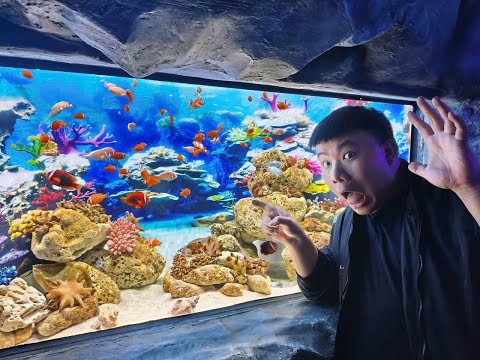 Tạm thời đặt mục tiêu là KC, lên xong tính tiếp zô zô