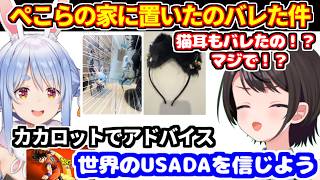 ぺこらの家に置いていったアクスタと猫耳がバレた件＋ドラゴンボールカカロットをやるにあたり、ぺこらからアドバイスを貰う【ホロライブ切り抜き/大空スバル/兎田ぺこら】