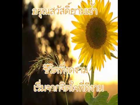 สวัสดีตอนเช้า รูปภาพสวัสดีตอนเช้า คำคมธรรมะ Video