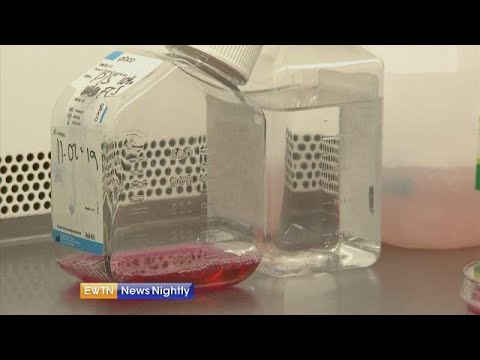 Scientists hope they have found cure for HIV - ENN 2019-03-05