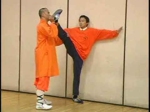 Forward Leg Push in Shaolin Kung Fu