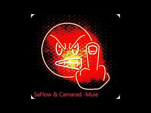 SaFlow & Camarad - MUIE (Audio)
