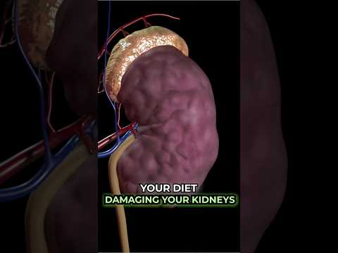 Your Diet Might Be HARMING Your KIDNEYS — Eat These Instead