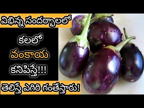 Dream Meaning & Analysis of Brinjal in Dream || Kalalo Vankaya Kanipiste || Brinjal in Dream Mean...