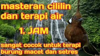 Download lagu terapi air dan suara cililin mp3 mp3 Download lagu terapi air dan suara cililin mp3 mp3