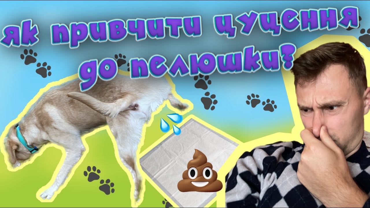 YouTube video preview