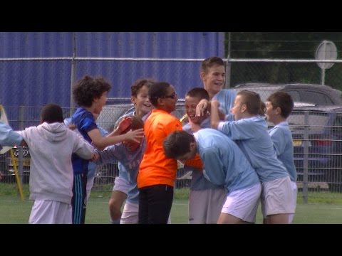 Samenvatting Hermes DVS D1 -  Maense D1