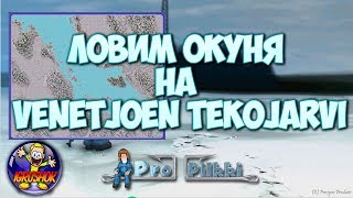 На что и когда ловить окуня в propilkki2