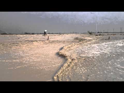 ????? ????? ?????? ?????? 22/11/2013