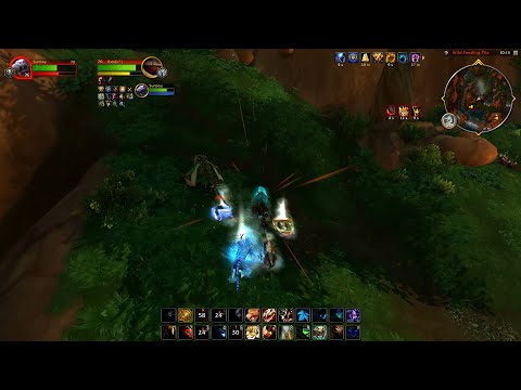 《WoW: Dragonflight》Feral Druid vs. Windwalker Monk