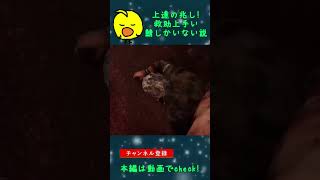 【切り抜き】DBD　庭が喜んでいます