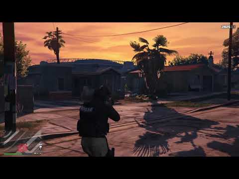LSPD SWAT Team  - GTA 5 LSPDFR  Mod