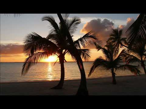 Volver a Vivir ♫ Herencia de Timbiquí y Andrés Cepeda♫