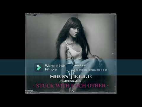 Stuck With Each Other by Shontelle and Akon written by Diane Warren