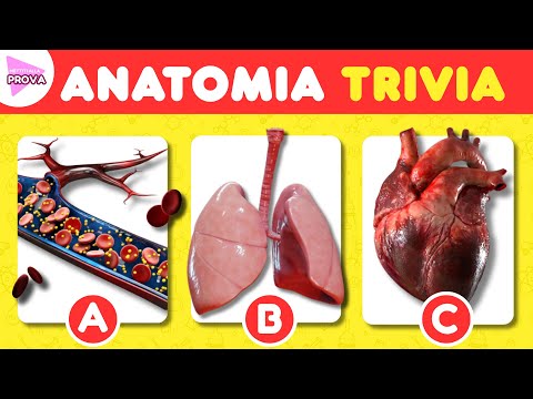 🤯 43 Domande di Anatomia! Riesci a Indovinarle TUTTE? | Mettiti alla Prova 🤔