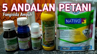 Download lagu 5 Effective FUNGICIDES to Overcome FUNGAL DISEASES IN RICE PLANTS - PESTICIDES - FUNGICIDES mp3 Download lagu 5 Effective FUNGICIDES to Overcome FUNGAL DISEASES IN RICE PLANTS - PESTICIDES - FUNGICIDES mp3