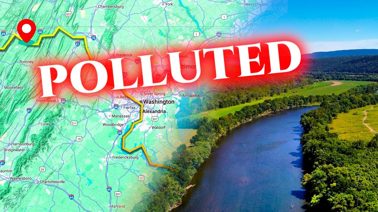 Why is the Potomac River So Polluted? (Scientific Journey from Headwaters to Mouth)
