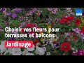 JARDINAGE : comment choisir ses fleurs pour vos terrasses et balcons