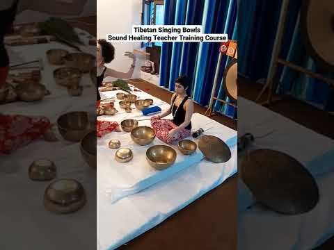 Haritha Yogshala short
