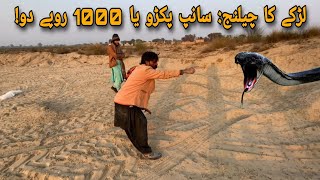 جوگی نے دیا حیران کن چیلنج – 2000 روپے کا کھیل! ناممکن موسم میں سانپ پکڑنے والا جوگی!