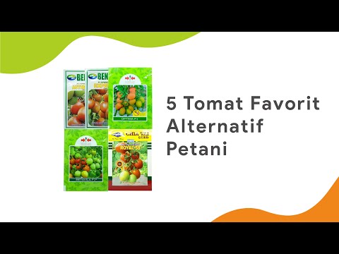 , title : '5 Tomat Favorit Petani | Benih Bibit Authentic, Expert, Optima, Betavila, Royal 58 F1'