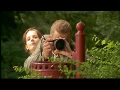 Wilsberg (1995-2025)