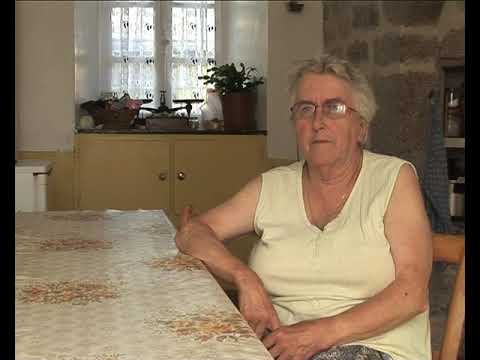 L'alicòt