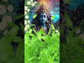 Shambo Shankara Song Telugu From Nagaprathista Movie