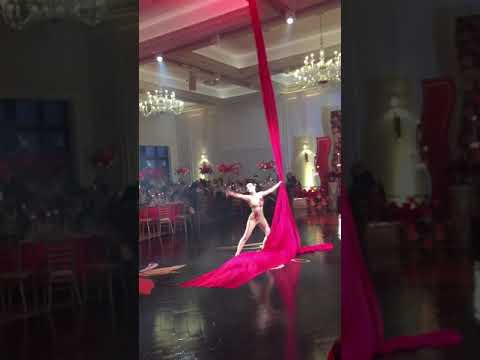 Promotional video thumbnail 2 for Voladea Performing Arts