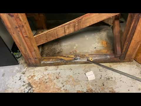 Grease Trap Attracting Cockroaches in Asbury Park, NJ