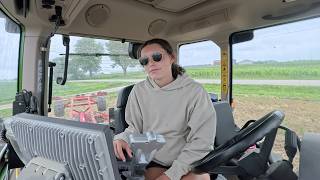what we do after wheat harvest | weekly vlog