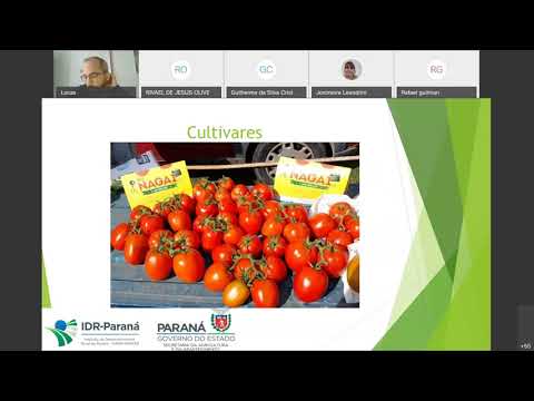 , title : 'Cultivo e tratos culturais de tomateiro em sistema orgânico de produção'
