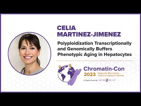 Chromatin-Con 2023 - Day 2 Epigenetics of Cell Heterogeneity in Aging - Dr. Celia Martinez-Jimenez