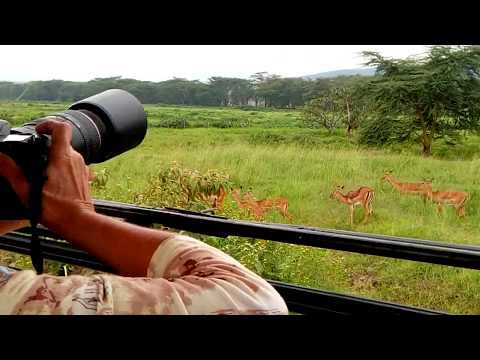Our Holiday Experiences