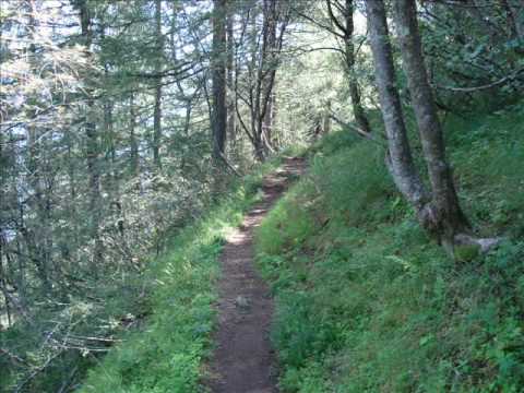 Solaris Heights -  No trace (vocal original mix )