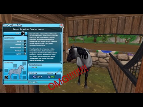 Level 10 QUARTER für 713 STAR COINS?! 🤤😍 StarStable (SSO) #55: Rassenrennen und billige Pferde! 🤑💸