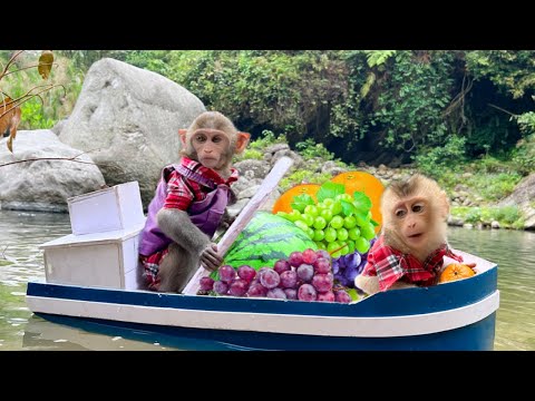 Bim Bim rowes a boat to pick fruit for baby monkey Obi