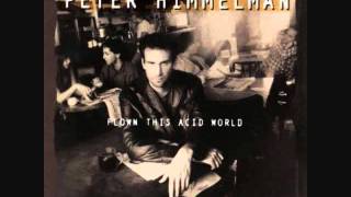 Flown This Acid World-Peter Himmelman.wmv