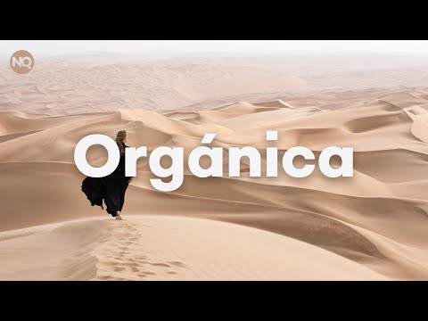 unique playlists - Orgánica DJ SET (mix by Ben & Vincent) - [Organic House - Ethnic House]